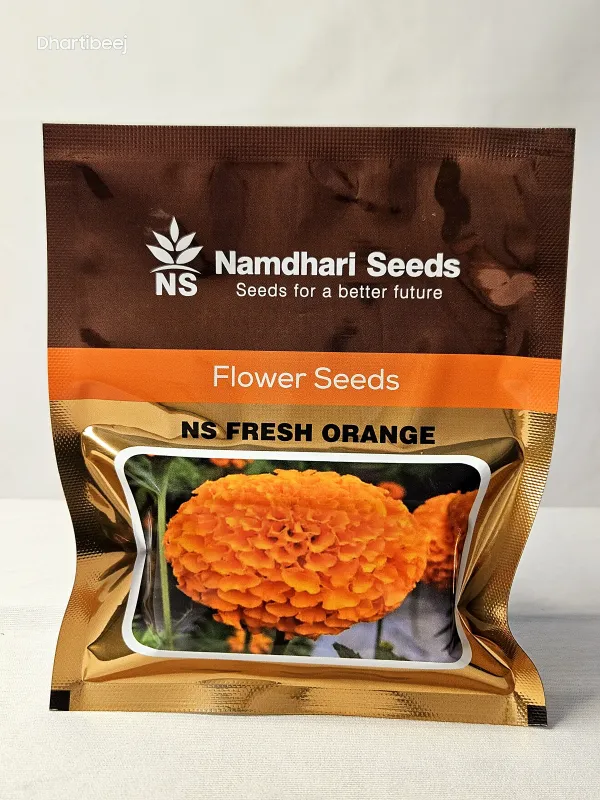 Marigold Ns Fresh Orange