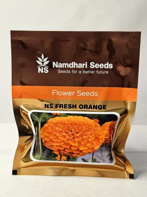 Marigold Ns Fresh Orange
