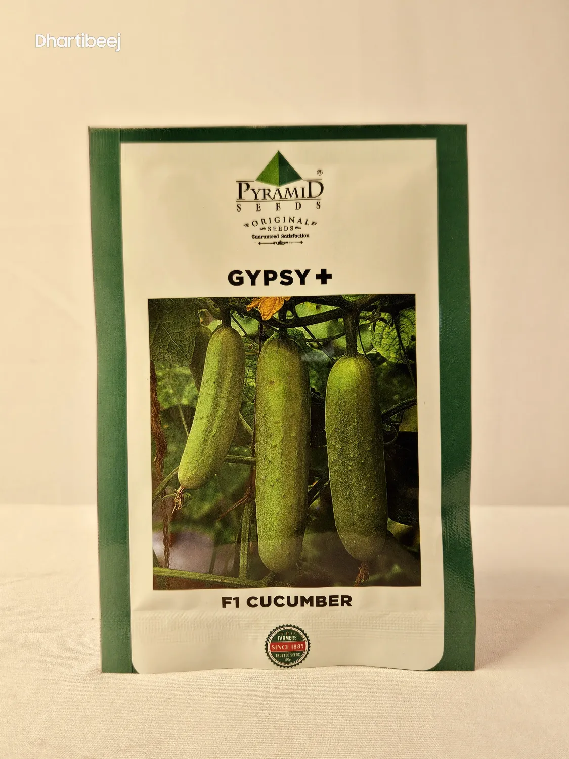 Cucumber Namdeo Gypsy Plus