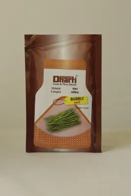Cowpea Dharti Sherly