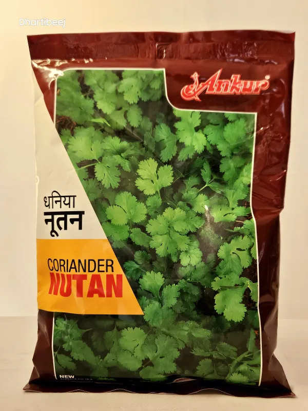 Coriander Ankur Nutan