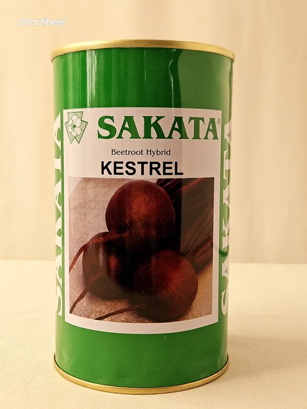 Beet Sakata Kestrel