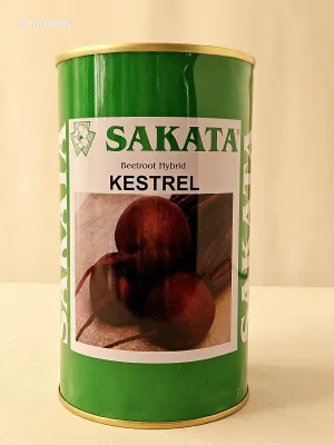 Beet Sakata Kestrel