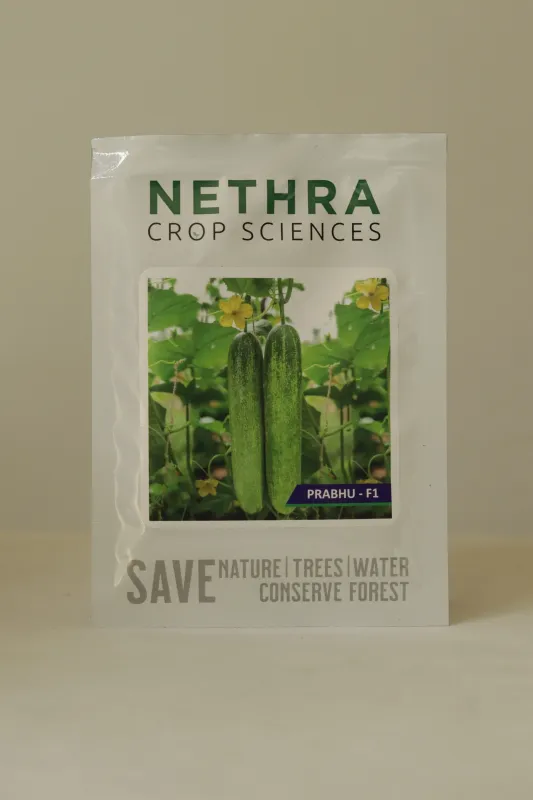 Cucumber Nethra Prabhu F1