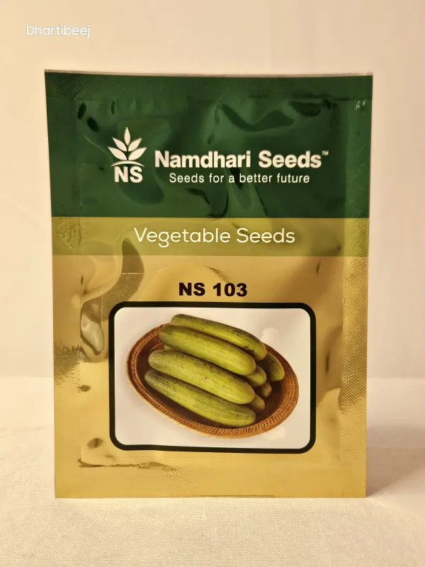 Cucumber Ns 103