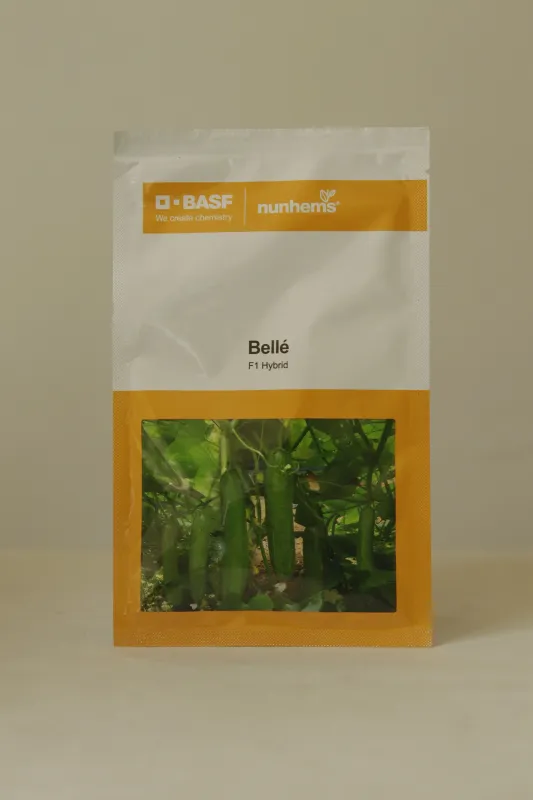 Cucumber Nunhems Belle