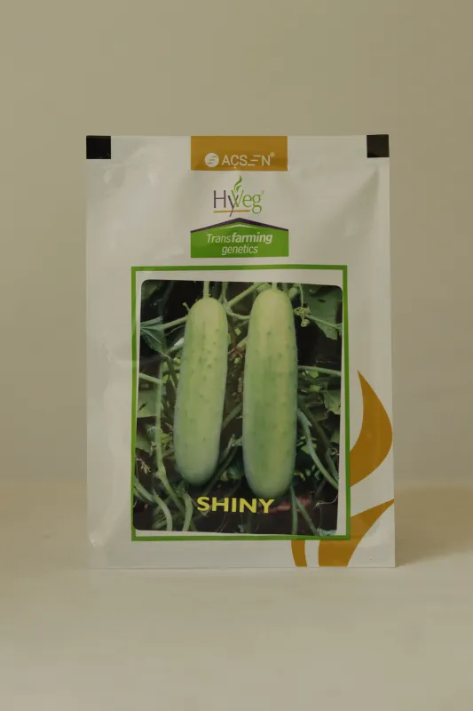 Cucumber Rasi Shiny