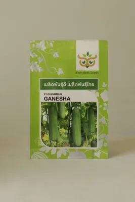 Cucumber Siam Ganesha
