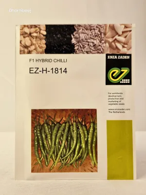 Chilli Enza H 1814