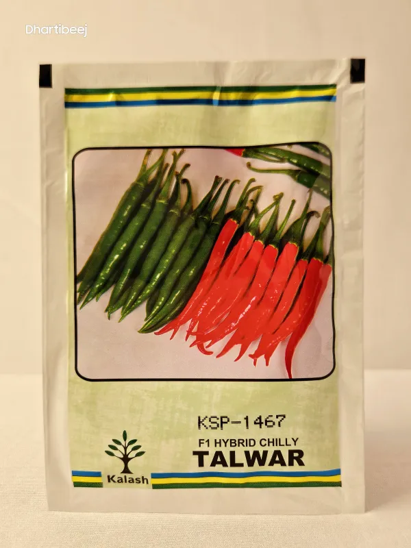 Chilli Kalash Ksp 1467 Talwar