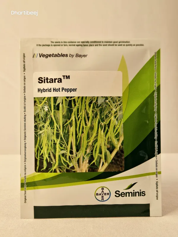 Chilli Monsanto Sitara