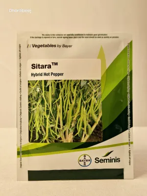 Chilli Monsanto Sitara