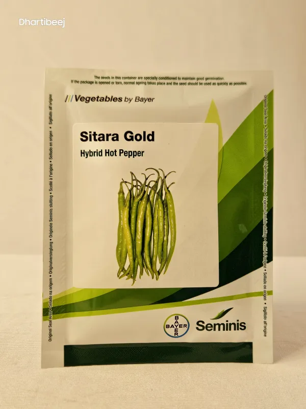 Chilli Monsanto Sitara Gold