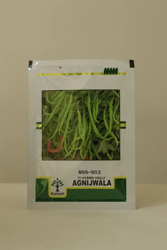 Chilli Kalash Agni Jwala