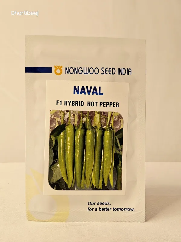 Chilli Nongwoo Naval