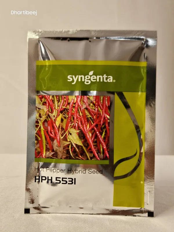 Chilli Syn Hph 5531