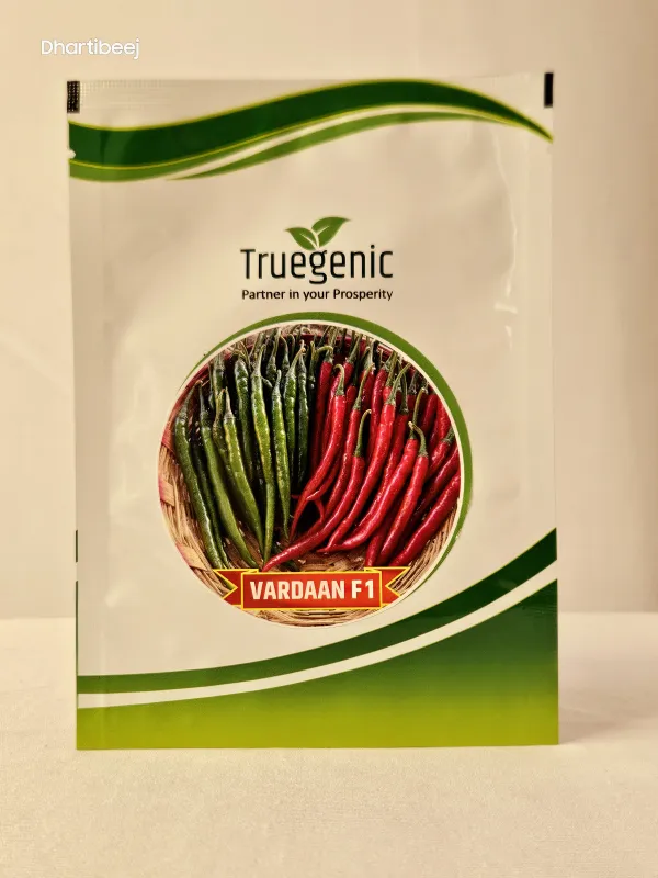 Chilli Truegenic Vardaan