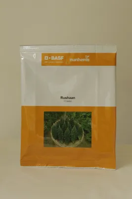 Bittergourd Nunhems Rushaan