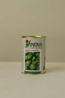 Capsicum Indus-11 (Popti)