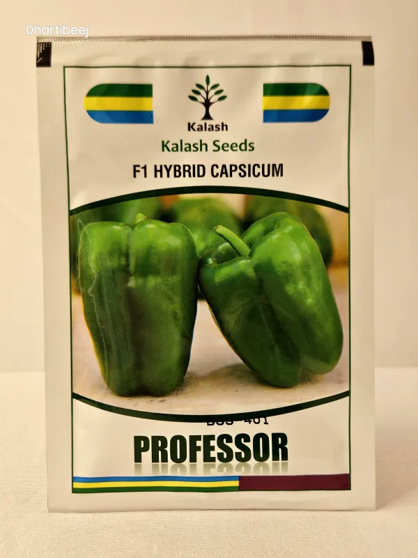 Capsicum Kalash Bss 401 Professor