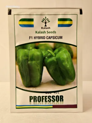 Capsicum Kalash Bss 401 Professor