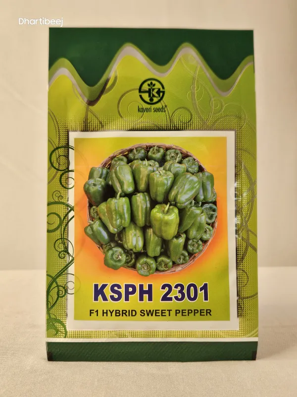 Capsicum Kaveri Ksph 2301