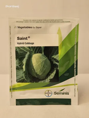 Cabbage Monsanto Saint