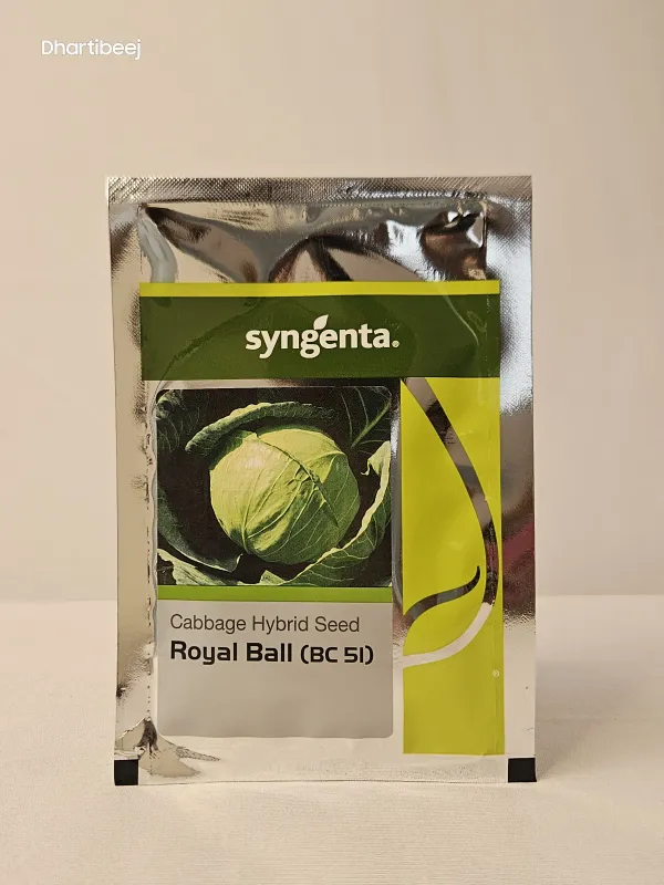 Cabbage Syn Royal Ball Bc-51