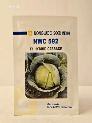 Cabbage Nongwoo Nwc 592