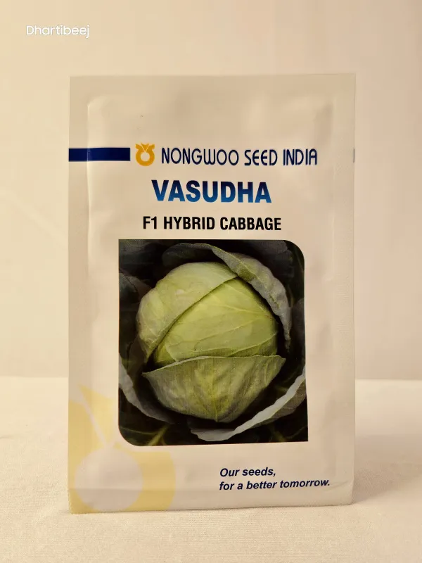 Cabbage Nongwoo Vasudha