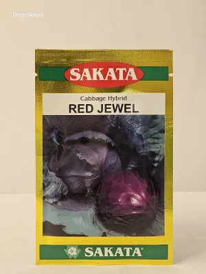 Cabbage Sakata Red Jewel