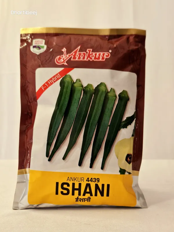 Bhendi Ankur Ishani
