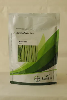 Beans Monsanto Moraleda