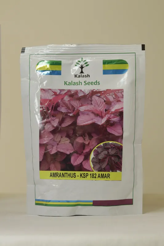Amaranthus Kalash Ksp 182