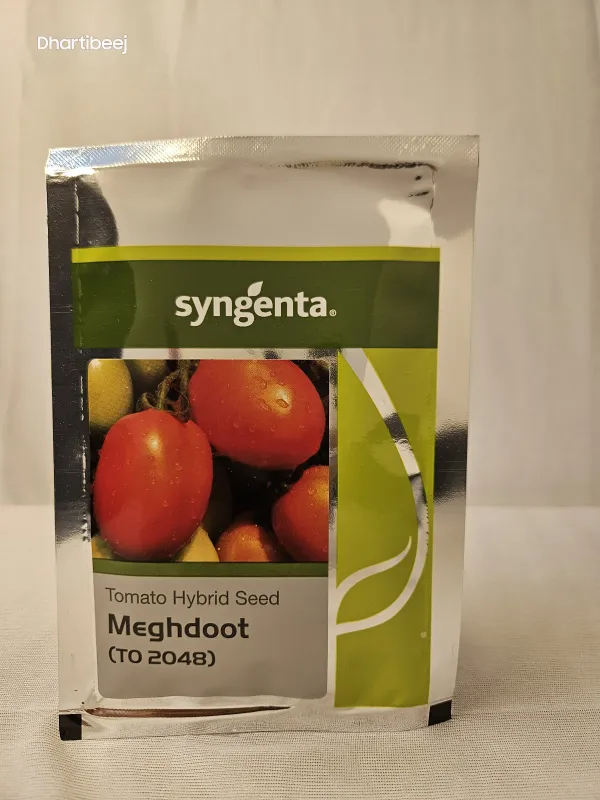 Tomato Syn Megdhoot 2048