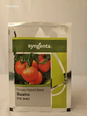 Tomato Syn Baaho