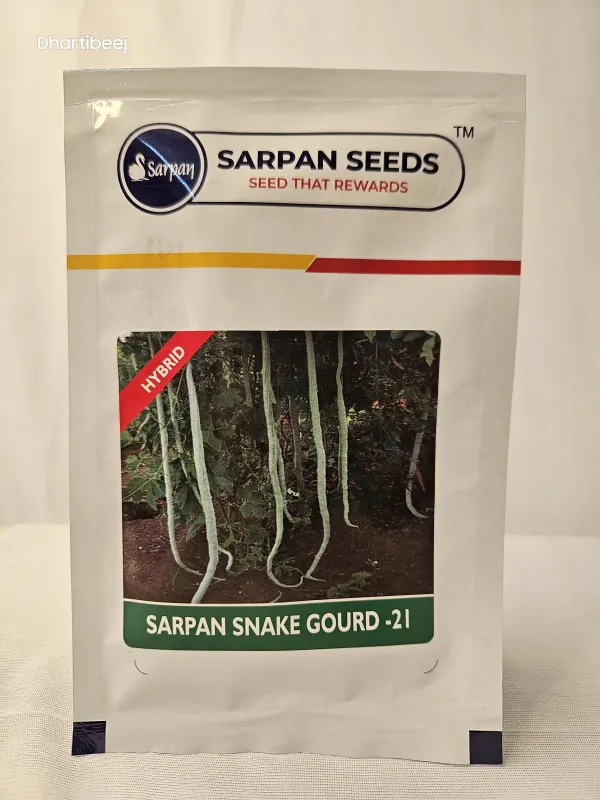 Snakegourd Sarpan Ssg 21