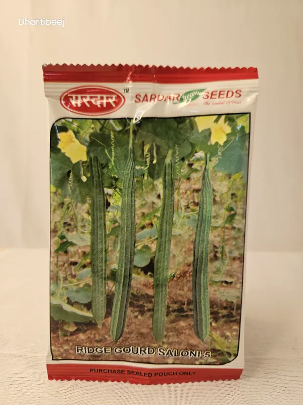 Ridgegourd Sardar Saloni
