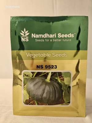 Pumpkin Ns 9523