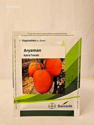 Tomato Monsanto Aryaman
