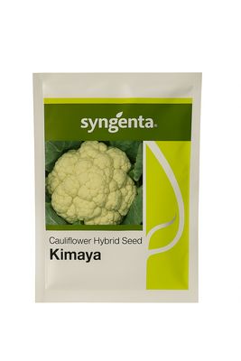 Cauliflower Syn Kimaya