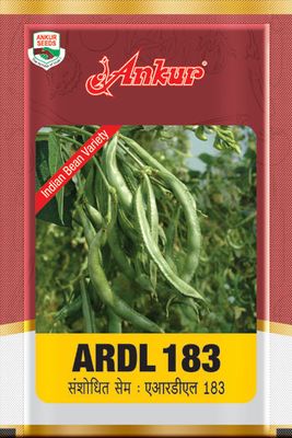 Beans Ankur Ardl-183