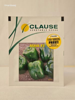 Capsicum Clause Asha