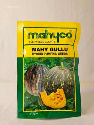 Pumpkin Mahyco Mahy Gullu