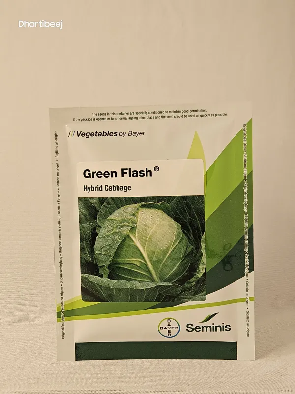 Cabbage Monsanto Green Flash