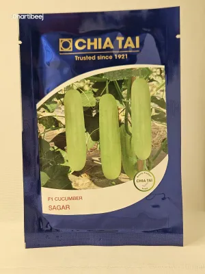 Cucumber Chiatai Sagar