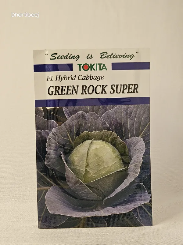 Cabbage Tokita Green Rock Super