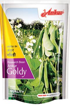Beans  Ankur  Goldy