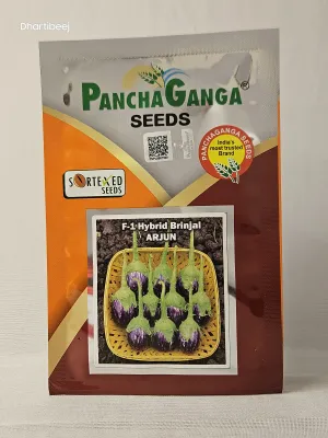 Brinjal Pancha Ganga Arjun