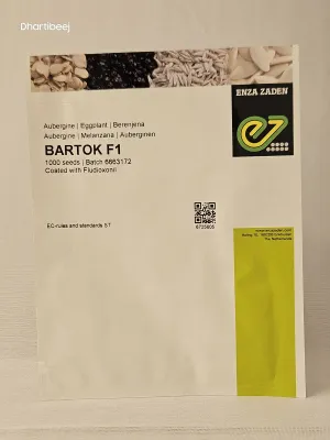Brinjal Enza Bartok